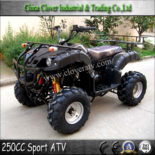 Automatic Quad ATV Bull 250CC ATV.jpg