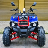 4 Wheeler 4 Stroke Hunting Quad Bike 200CC Automatic ATV