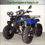 Professional Quad Bike 250cc ATV with 12 Inch Wheel