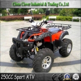Chinese High Quality 250CC Air-cooled ATV 250CC Farm ATV with 12 inch Alloy Rim