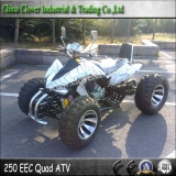 White 250cc EEC Racing ATV Adults Quad Bike with Off-raod Wheel