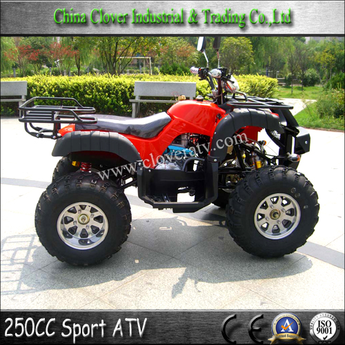 ATV 250cc Farm ATV 250cc China 2x4 ATV with 10 inch Alloy Wheel 