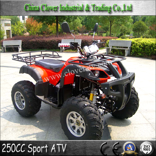 ATV 250cc Farm ATV 250cc China 2x4 ATV with 10 inch Alloy Wheel 