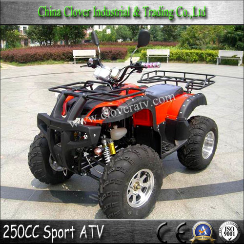 ATV 250cc Farm ATV 250cc China 2x4 ATV with 10 inch Alloy Wheel 